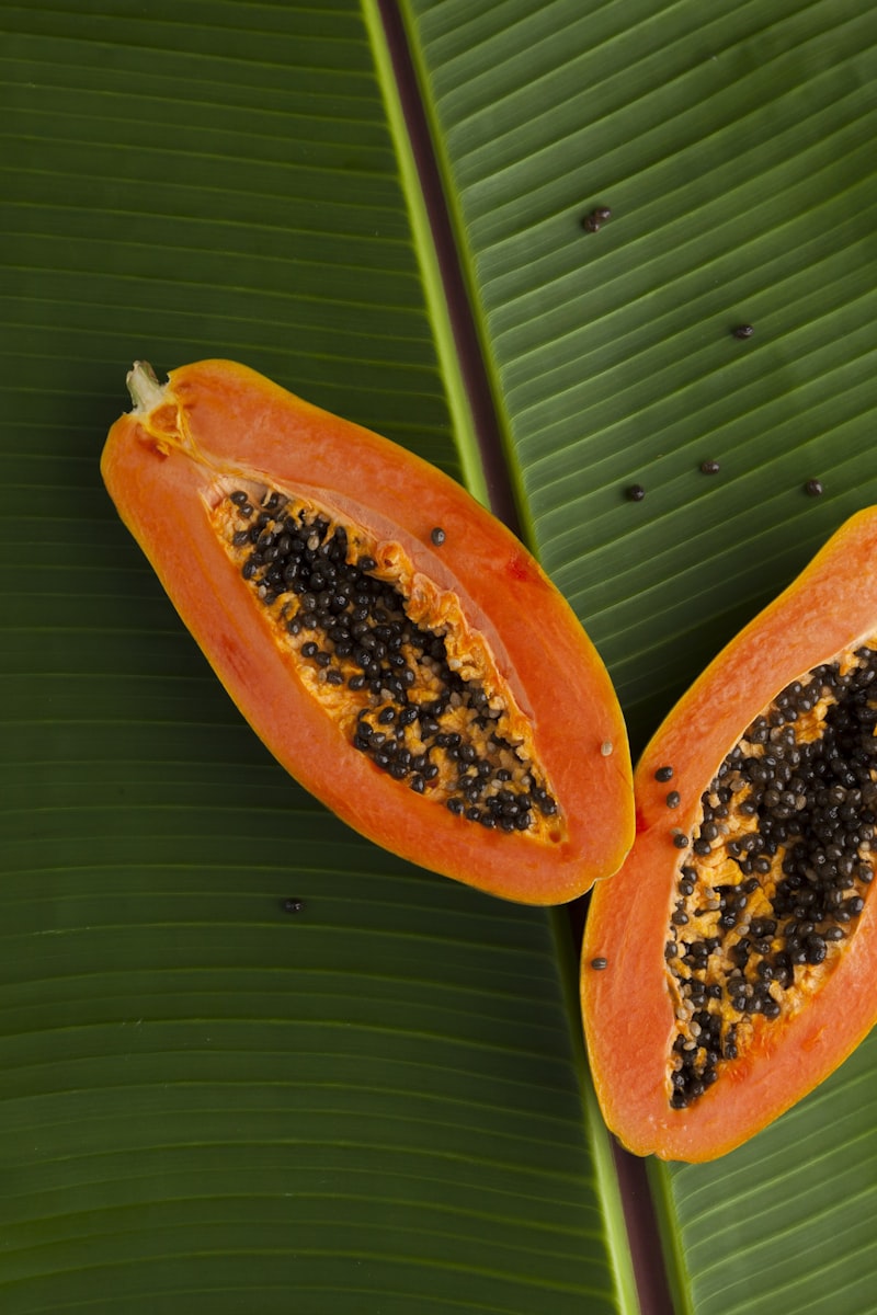 Licuado de Semillas de Papaya